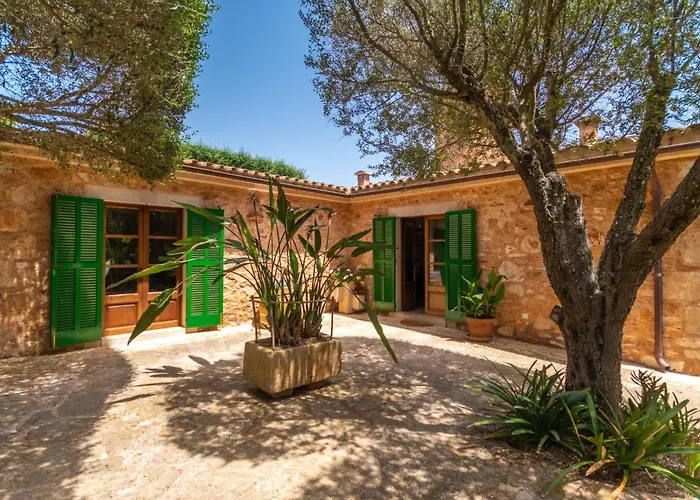 Holiday Home Moli De Son Vidal By Interhome